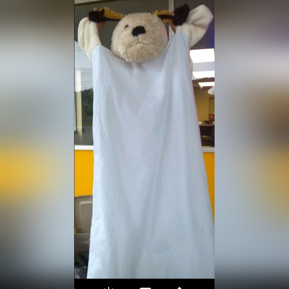 Kids Sleeping Bag, puppy dog